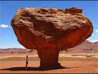 Old World Giant Petrified Mushrooms �