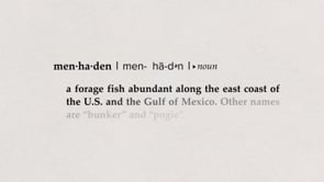 Menhaden-TBLFYNS_TRAILER 2 MINS.mp4