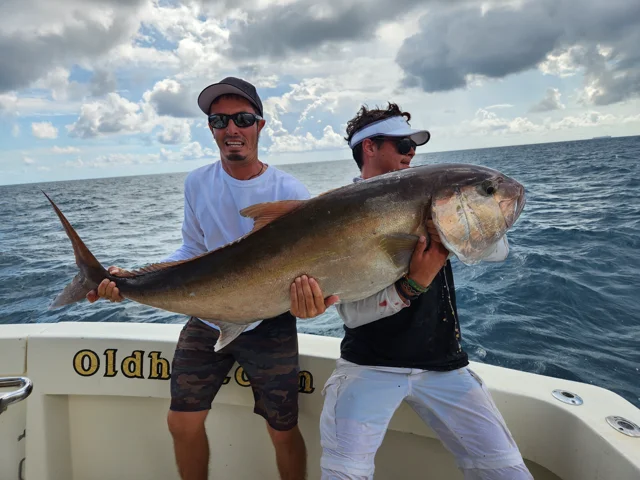Amberjack - A Guide to Sport Fishing for this Fierce Fighter