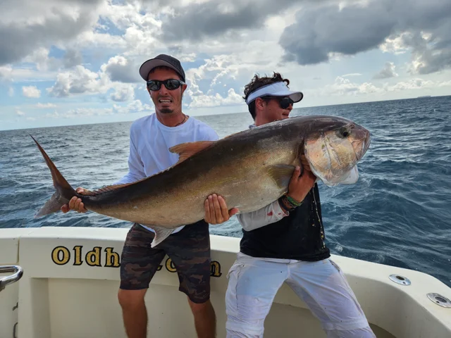 Amberjack - A Guide to Sport Fishing for this Fierce Fighter