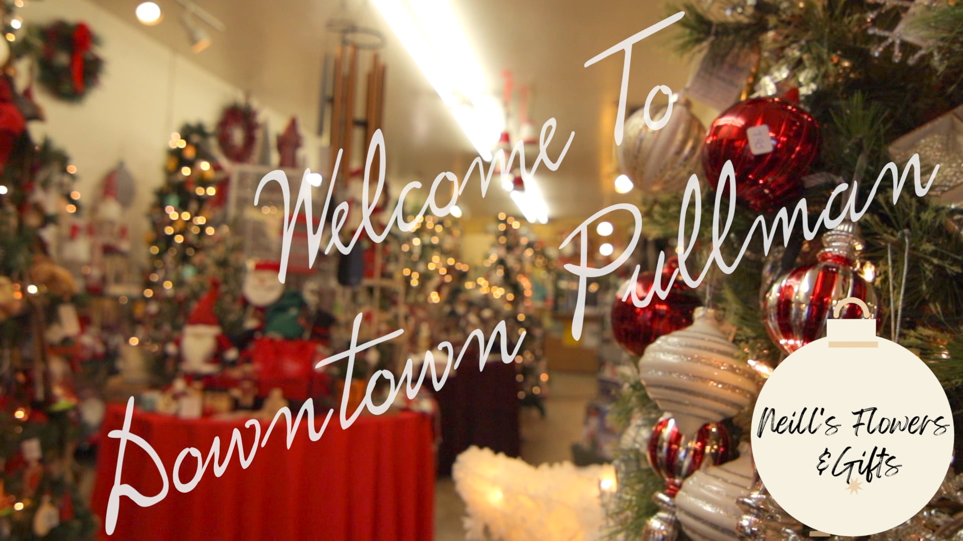 Downtown Pullman Christmas 3.mov on Vimeo