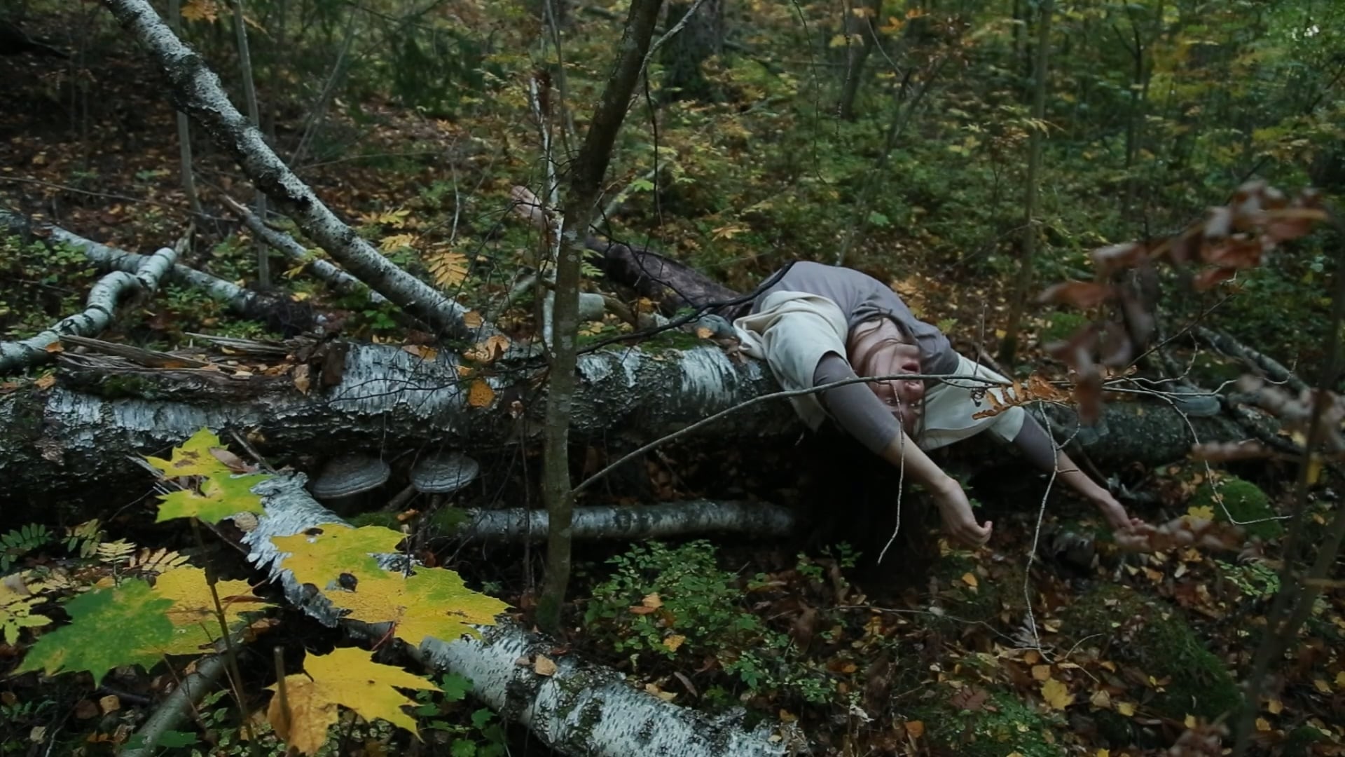 MOSS AND CHILL