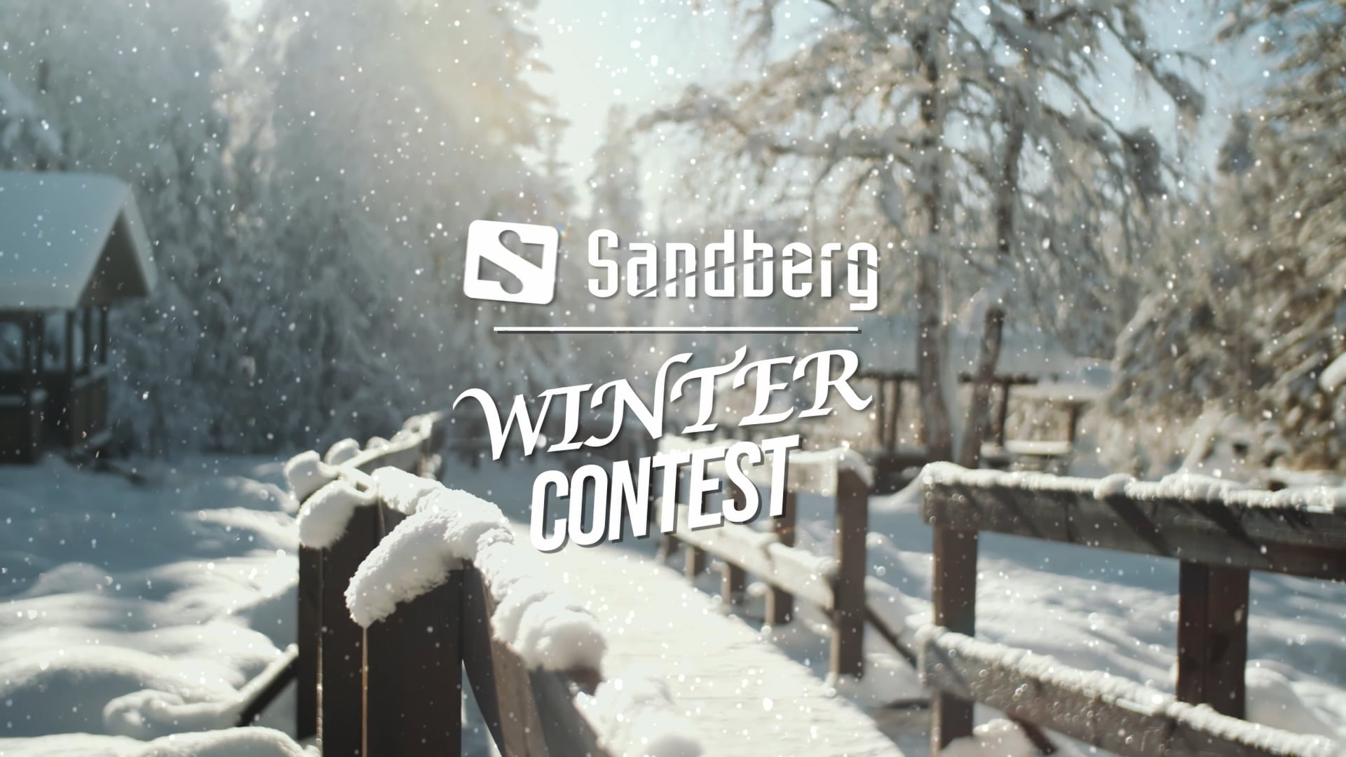 Sandberg Winter Contest 2022