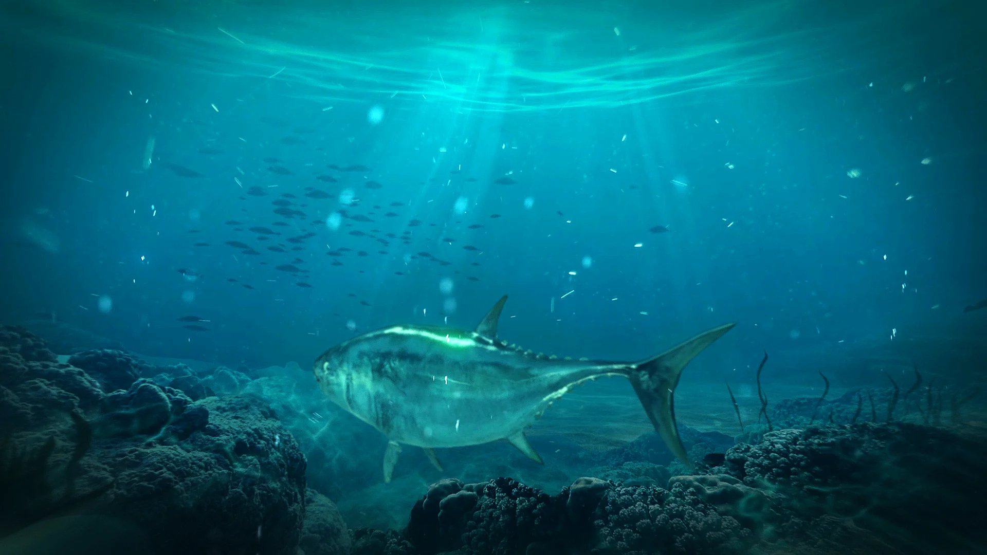 WELSEA . From the sea to your plate on Vimeo