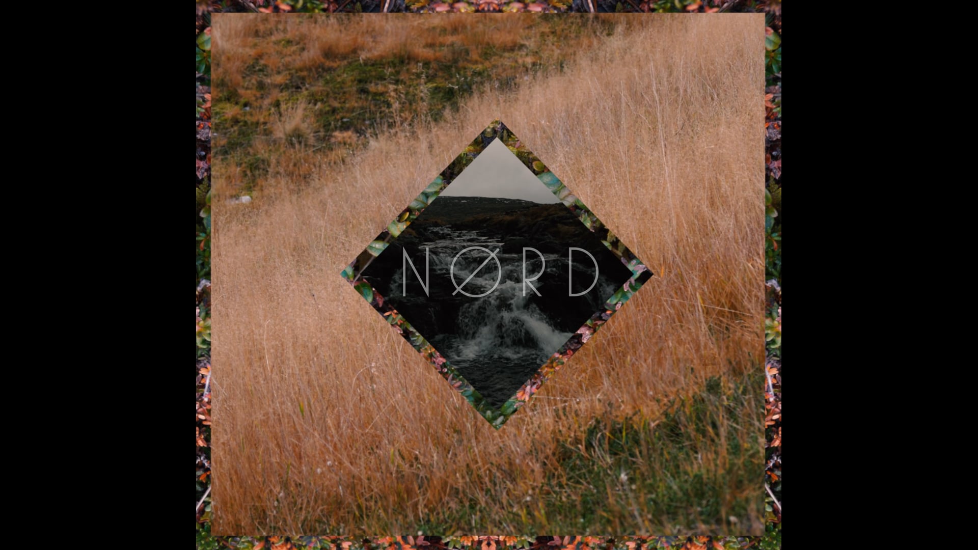 NØRD - Wilder 02