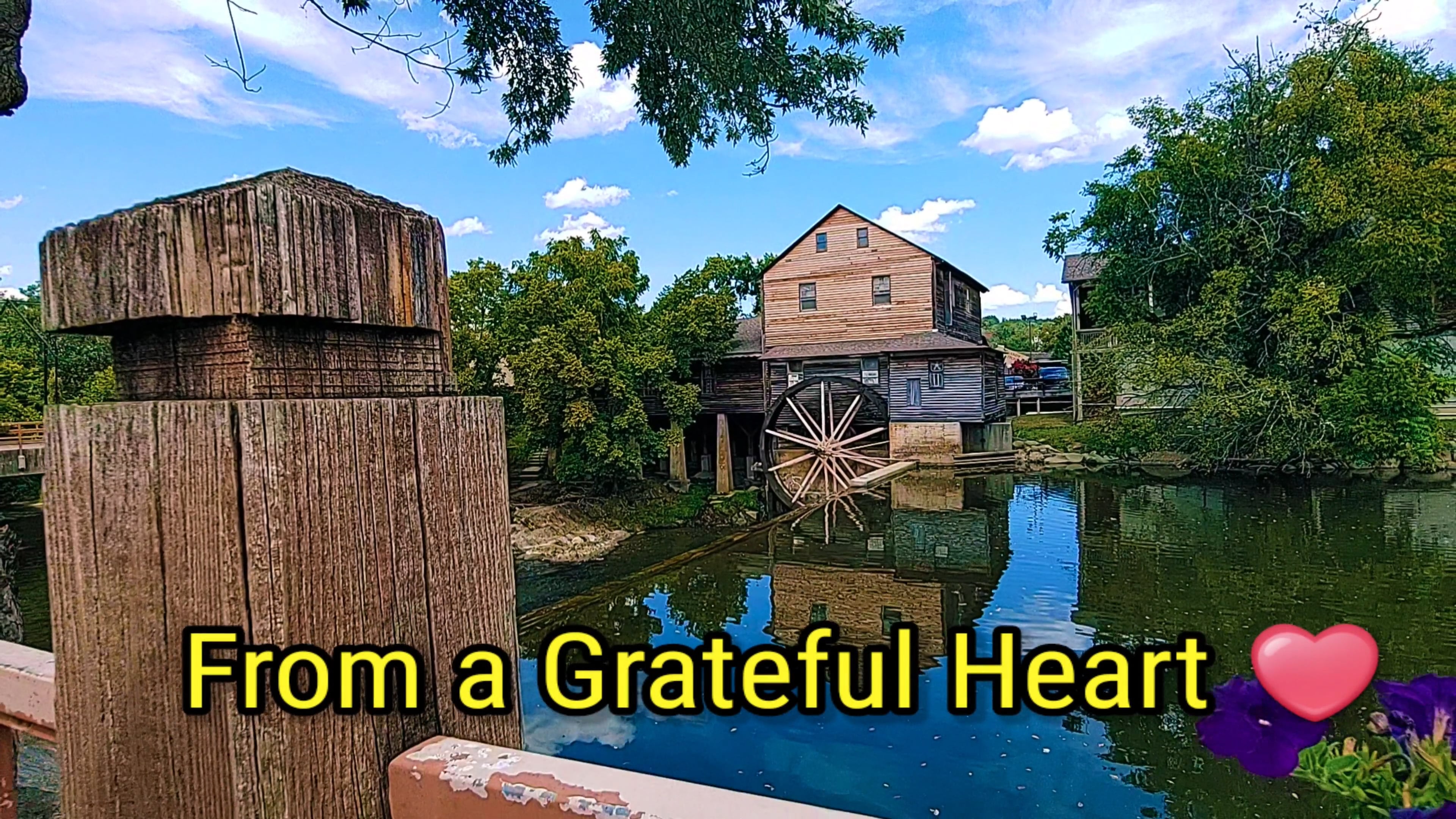 from-a-grateful-heart-on-vimeo