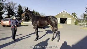 動画サムネイル