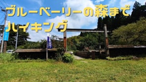 木更津市のエザワフルーツランドは山の頂上にあり大自然の森林浴を満喫しながら1日楽しめる観光農園です。｜木更津市のブルーベリー狩り摘み取り体験・ラビットアイ種苗木販売・果実販売・委託加工品販売