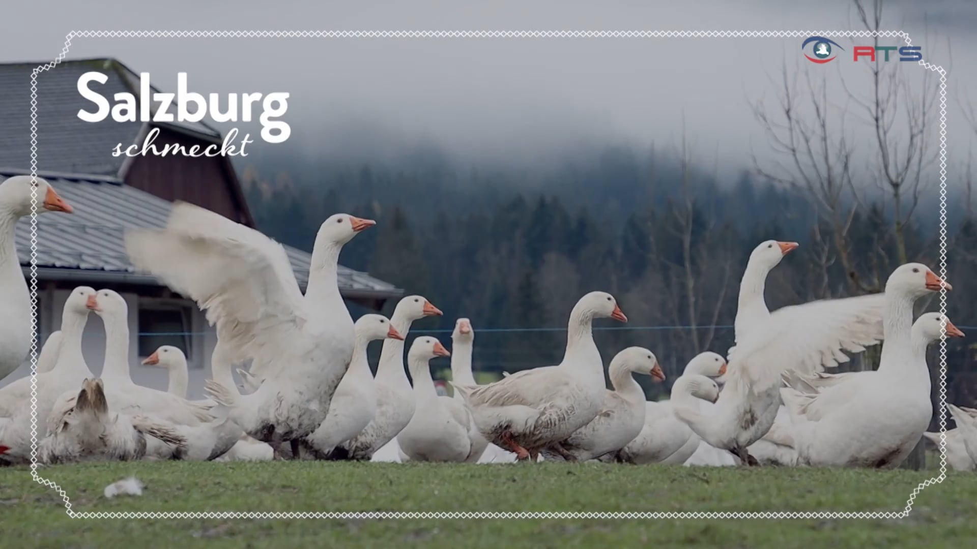 begruessung-salzburg-schmeckt-11-25-2022