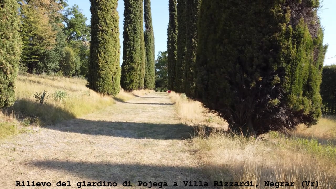 Pojega_ridotto