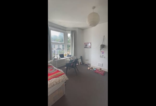 Young professional - large sunny room in house Main Photo