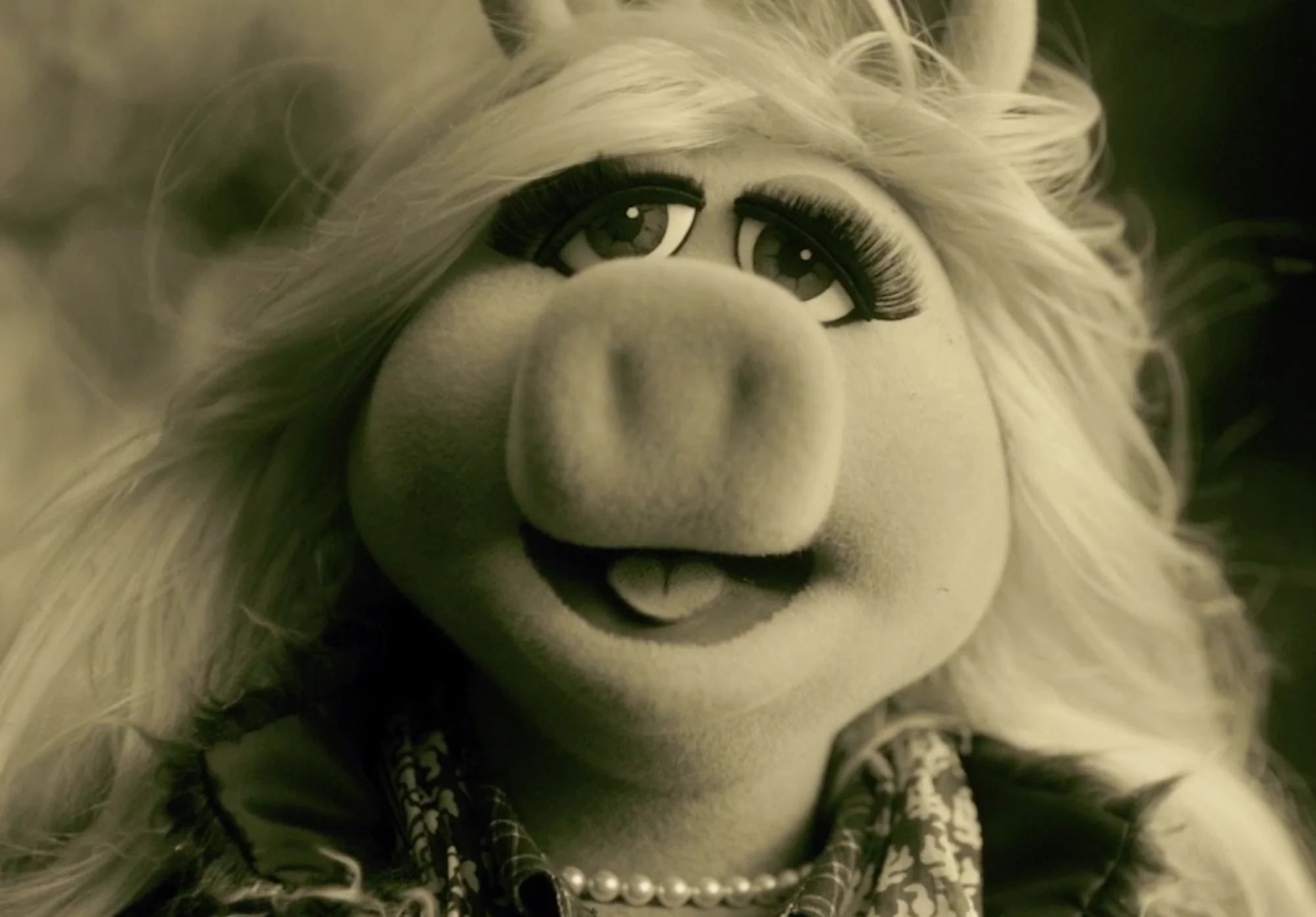 The Muppets | 