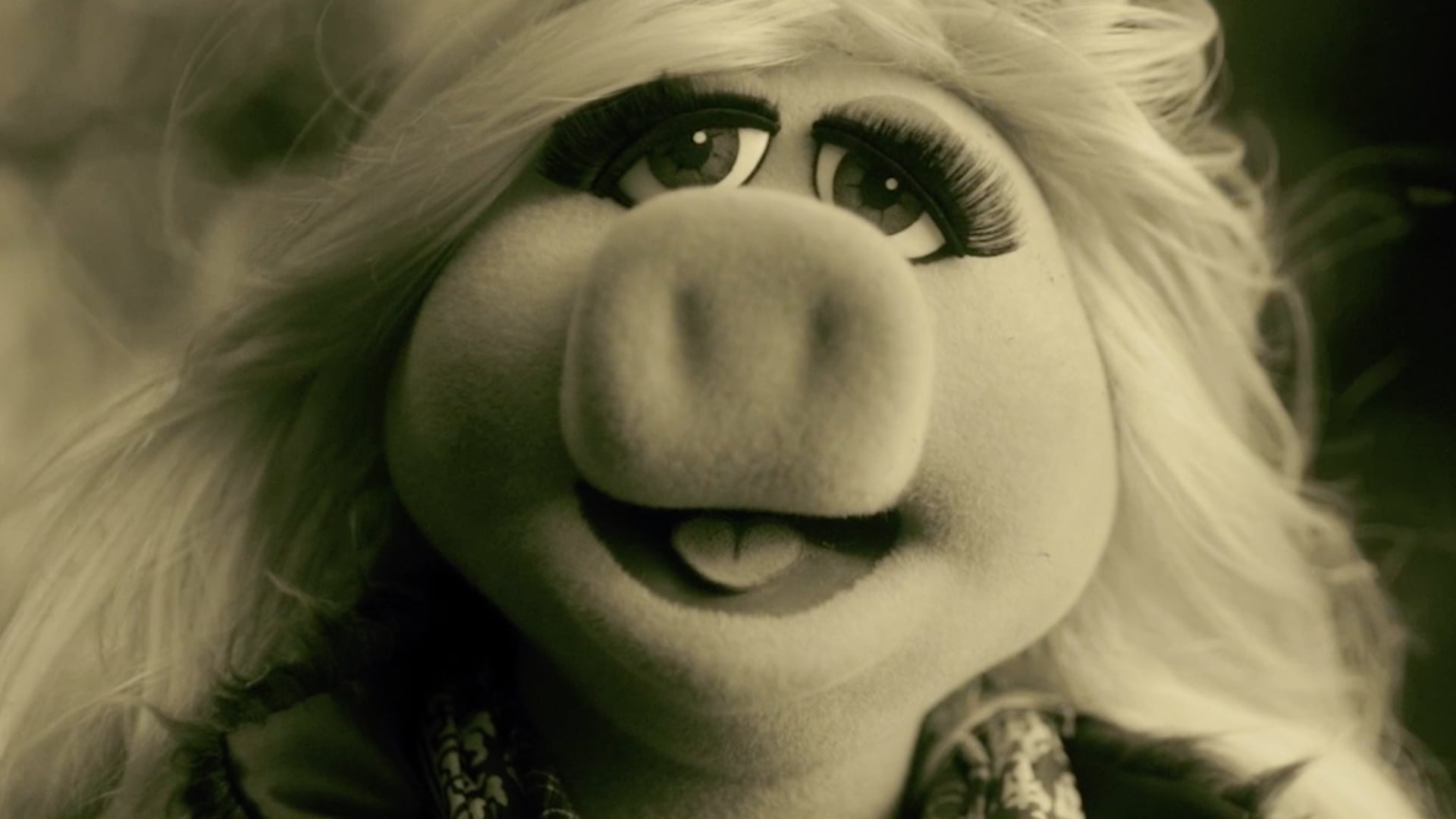 The Muppets | "Hello" Music Video  2:41