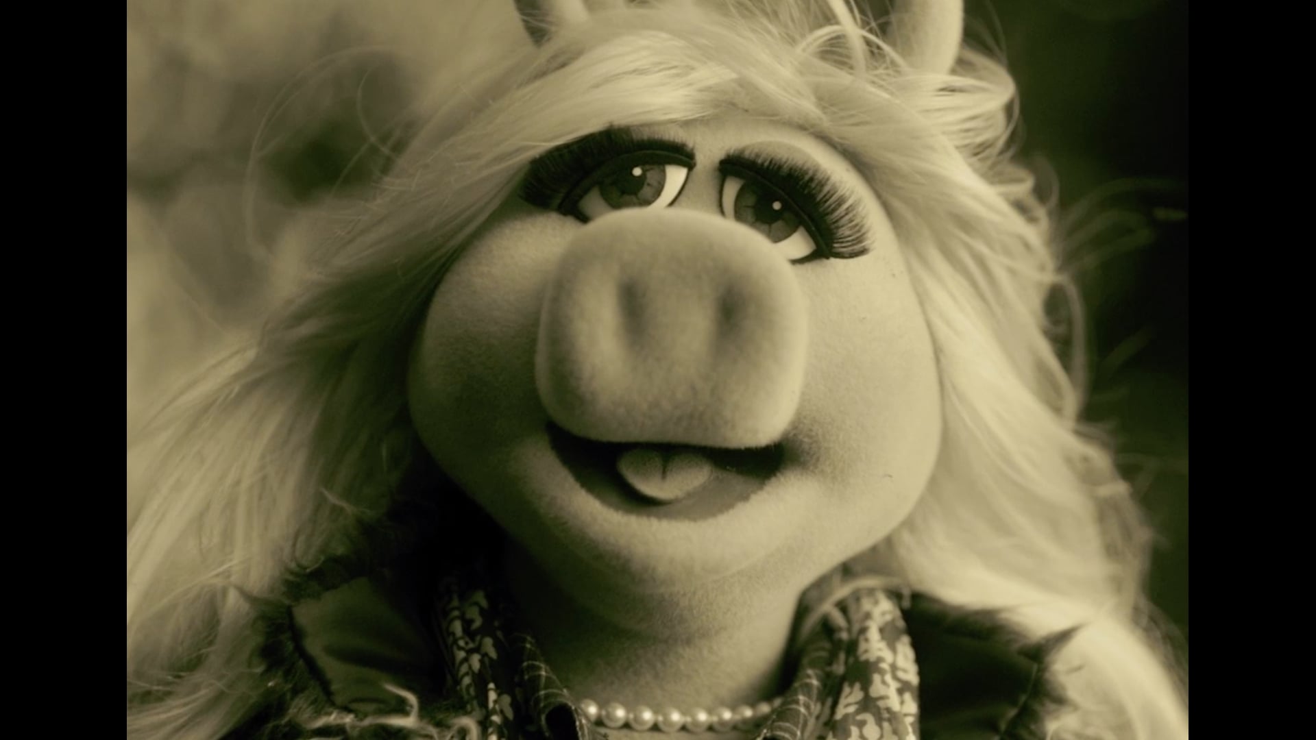 The Muppets | "Hello" Music Video  2:41