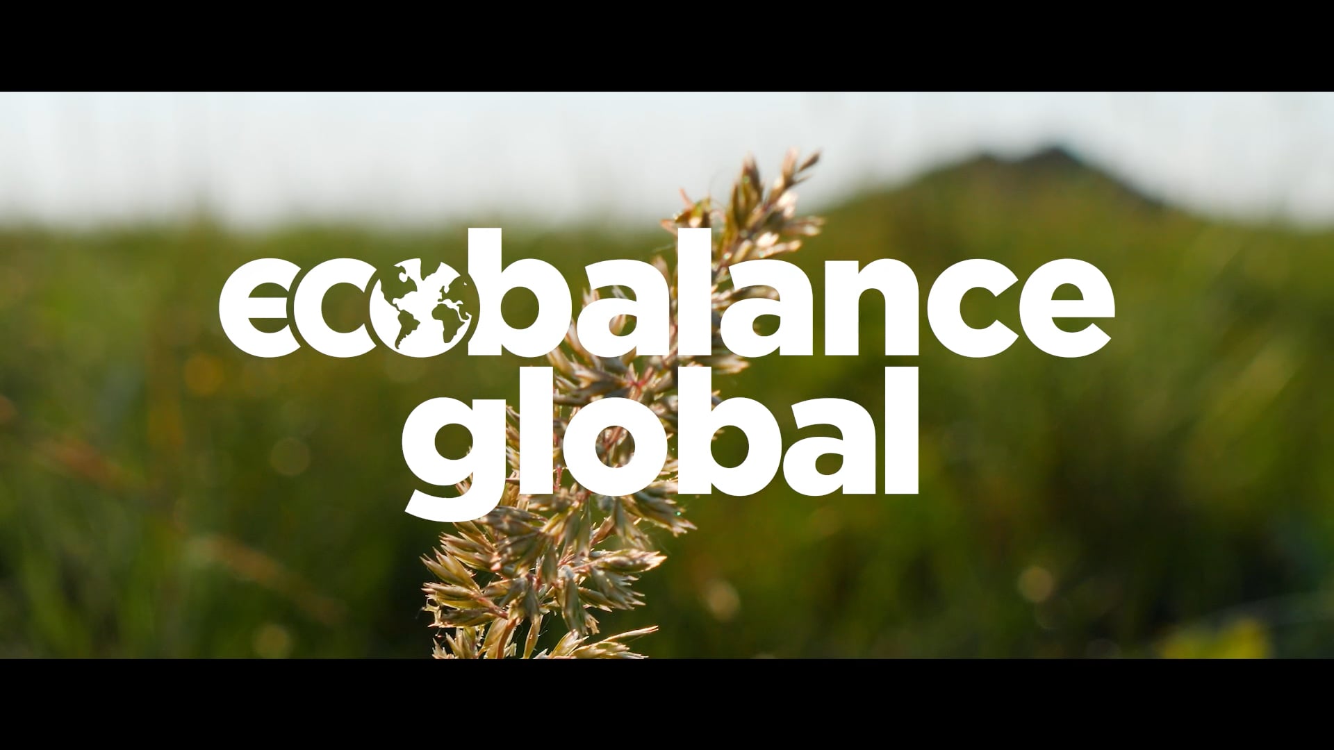 Win.Win.Win. EcoBalance Global