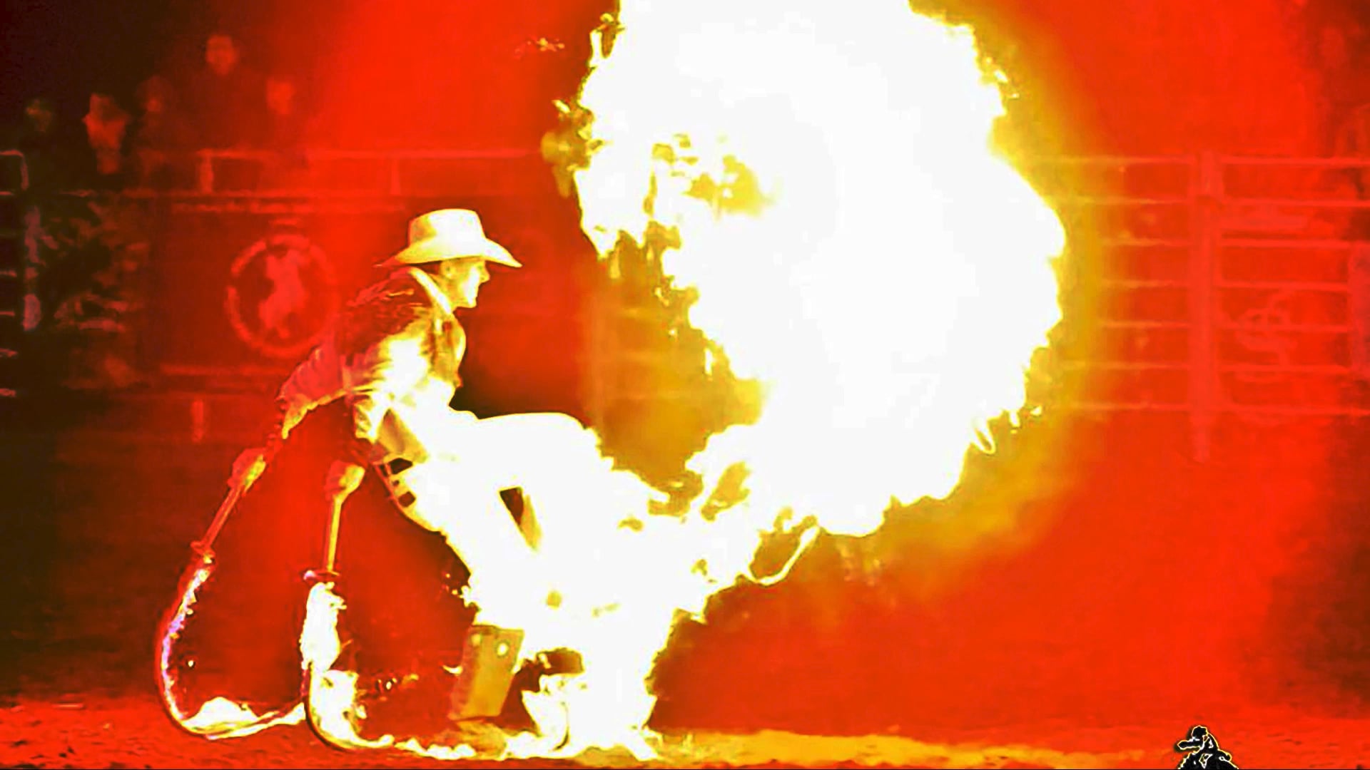 Bull Fighter Trailer