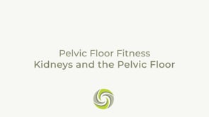 Kidneys and the Pelvic Floor