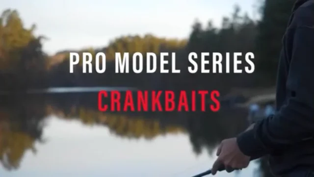 Strike King Pro Model Series 3 Medium Diving Crankbait — Discount Tackle