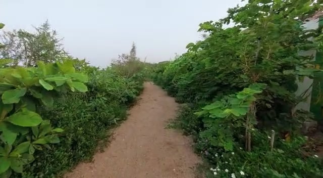https://i.vimeocdn.com/video/1556415851-f6c206fa074a39a0c5316d0f5e1341bb17ae895016f81921de24faaee3831508-d