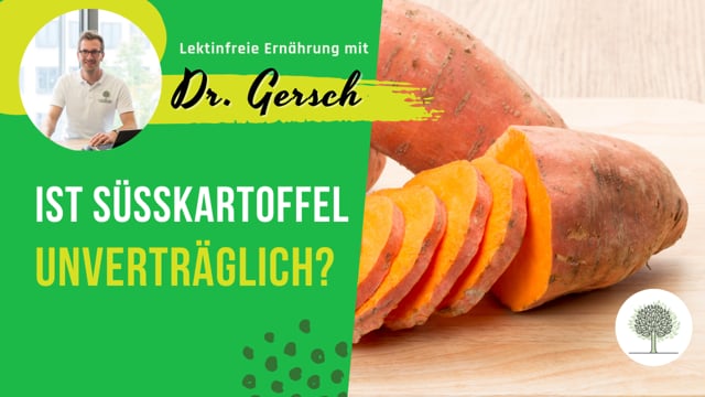 Hat Süßkartoffel Lektine?