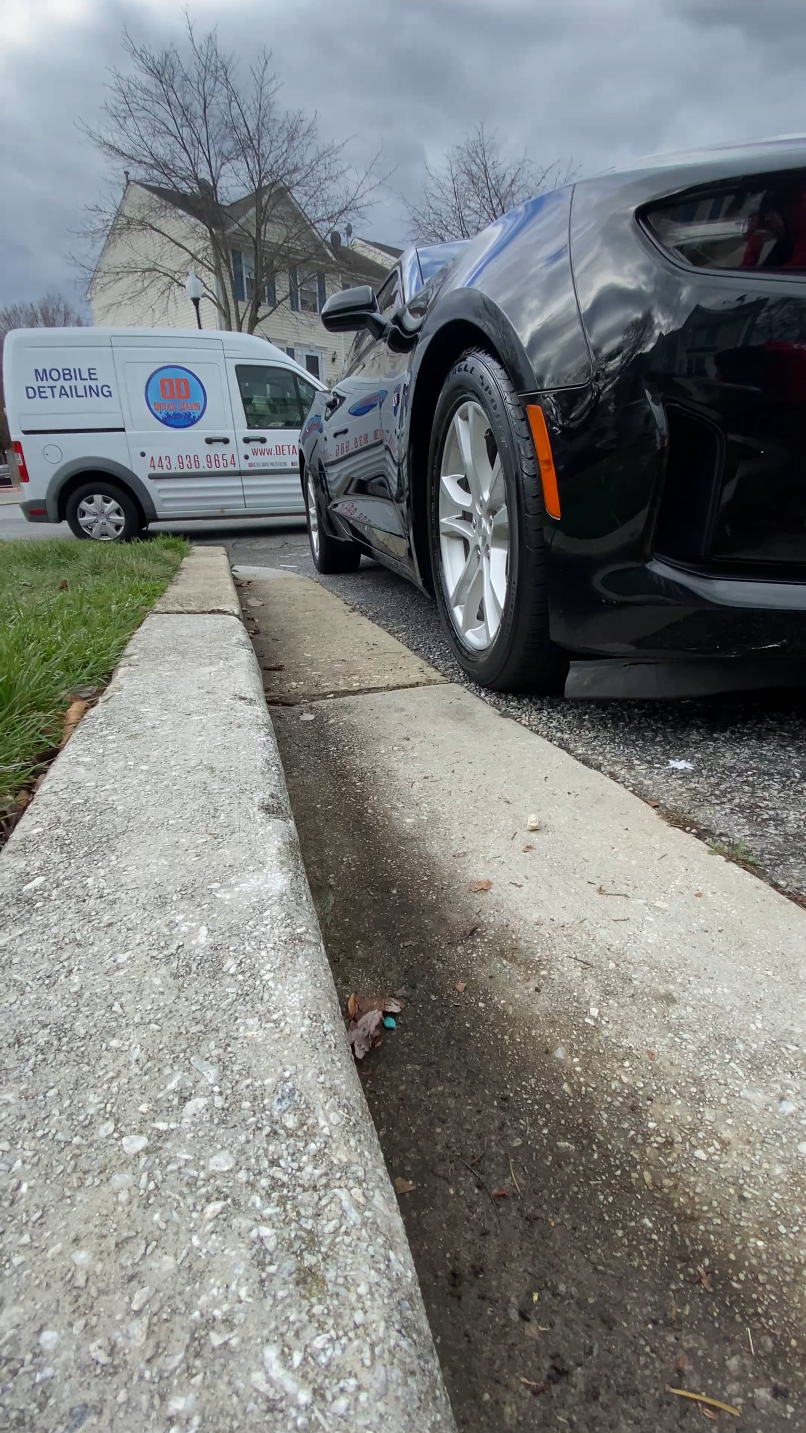 Mobile Automotive Detailing Detail Davis