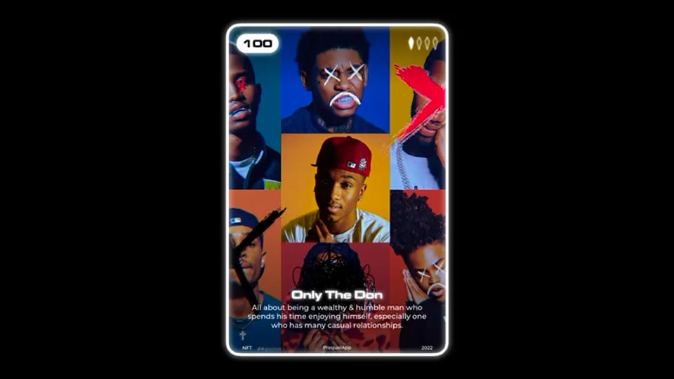 The Don Collection Don, Don, Clothing Store, Collection