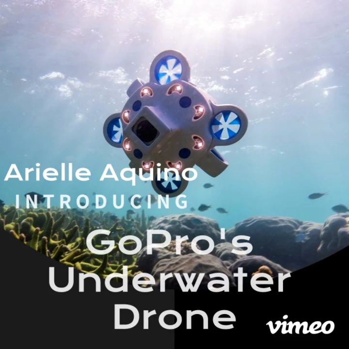 gopro underwater drone