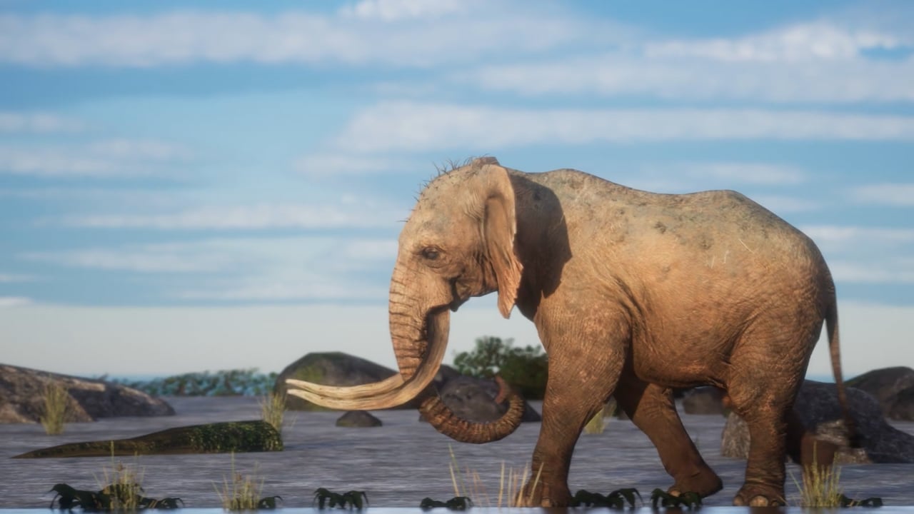 Elephant
