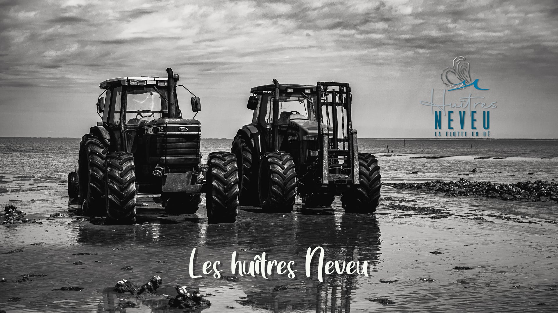 Toutes les vidéos