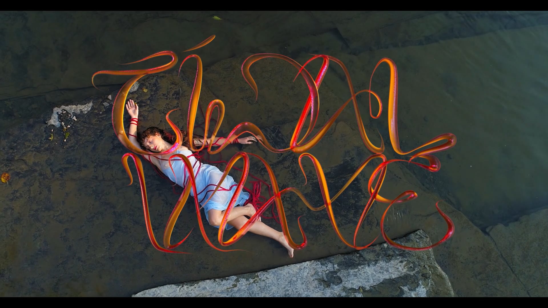 TIDAL WAVE | Videos & Movies on Vimeo