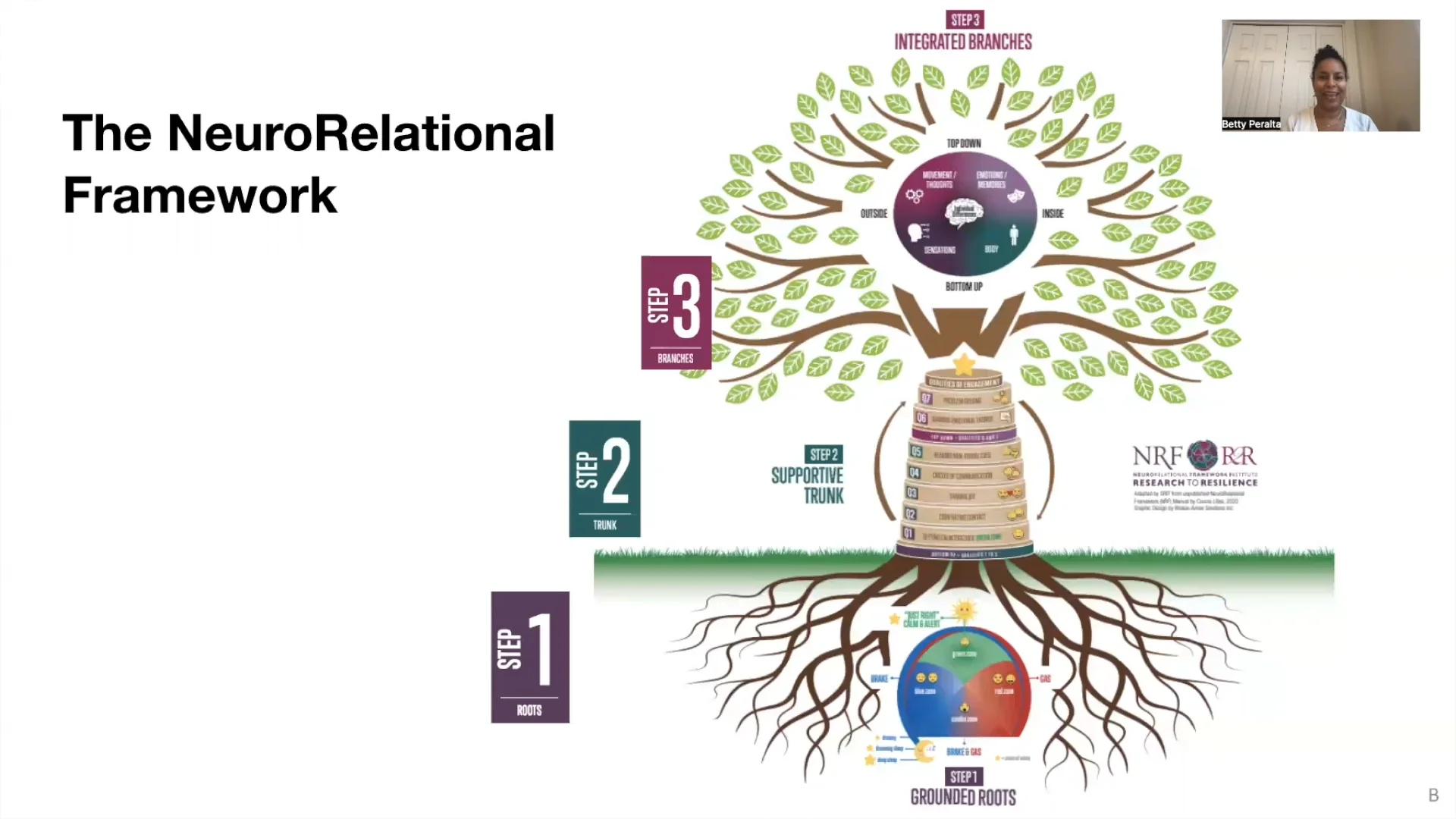 Mini-Lesson 1 Why Step 1 Matters (12 Mins).mp4 on Vimeo