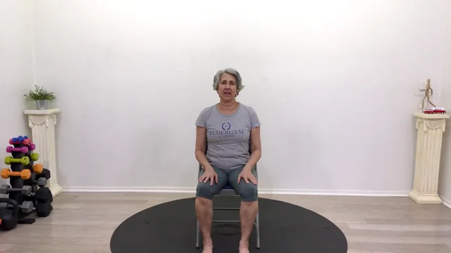 Eldergym core exercises hot sale