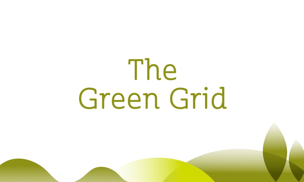 The Green Grid Image
