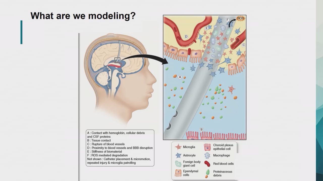 106 - Carolyn Harris