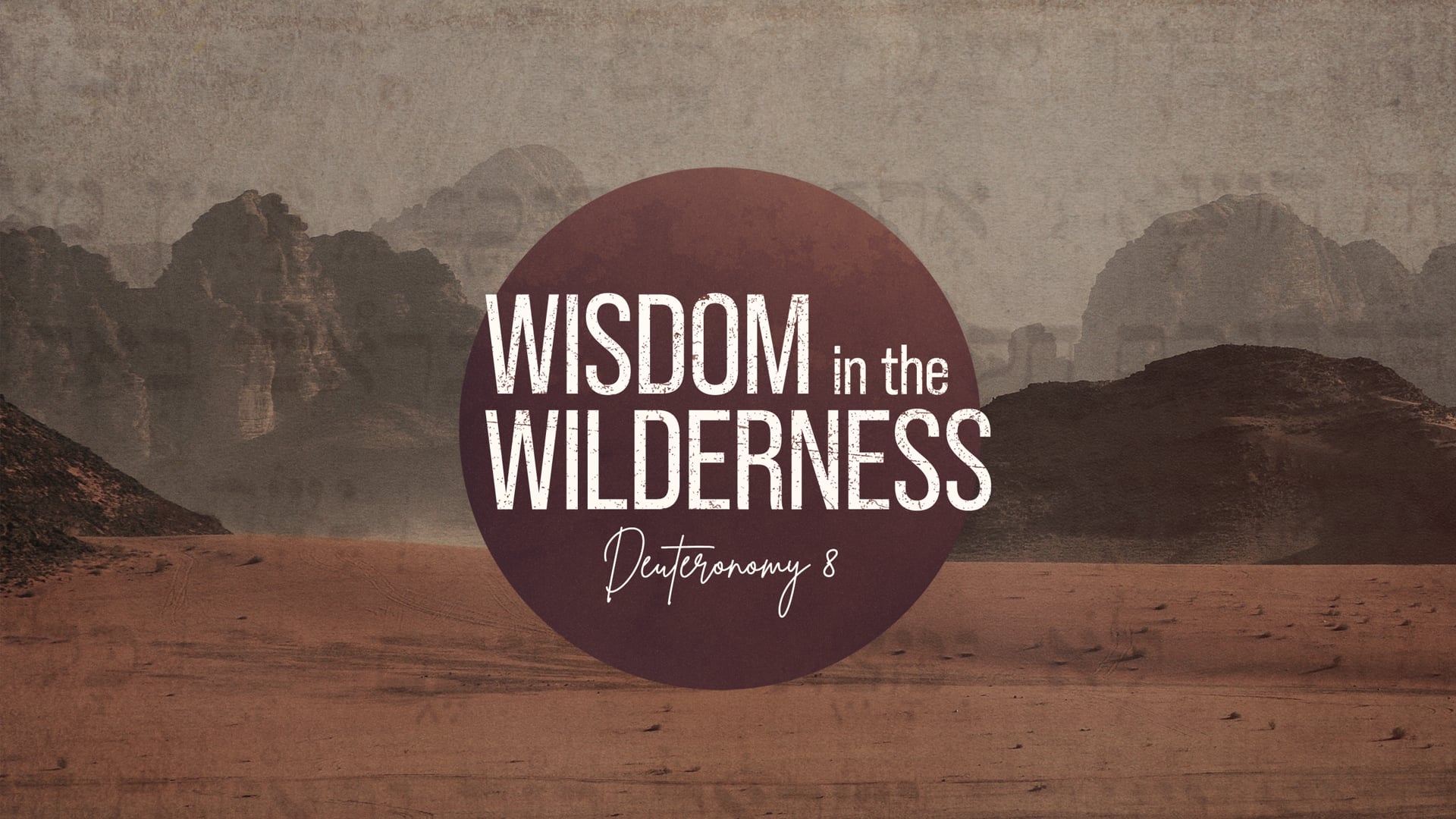Wisdom in the Wilderness