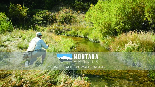 Video Pro Tips: Using Stealth on Small Streams - Orvis News