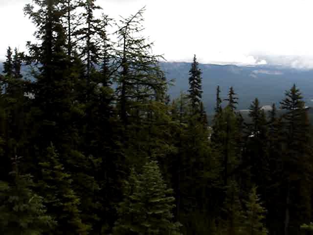 Amazing on Vimeo