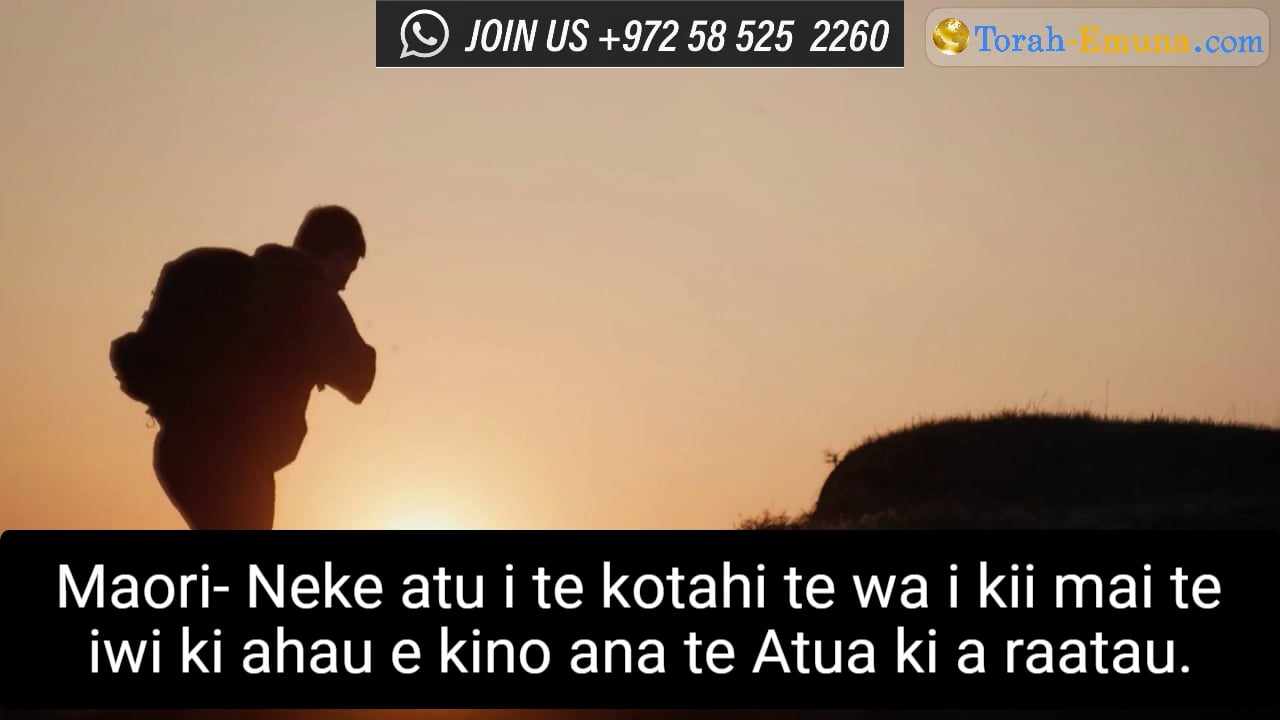 #C50 Ka taea e koe te huri i to oranga on Vimeo