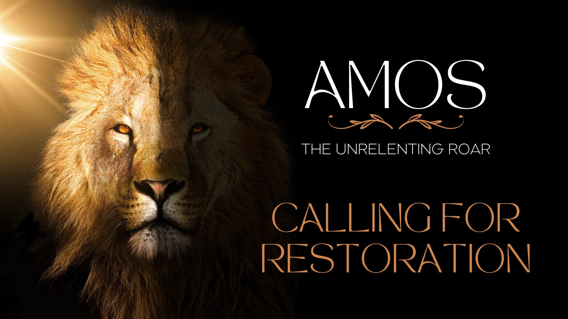 The Lion Roars (Amos)