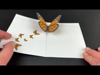 Pop-up monarch thank you card