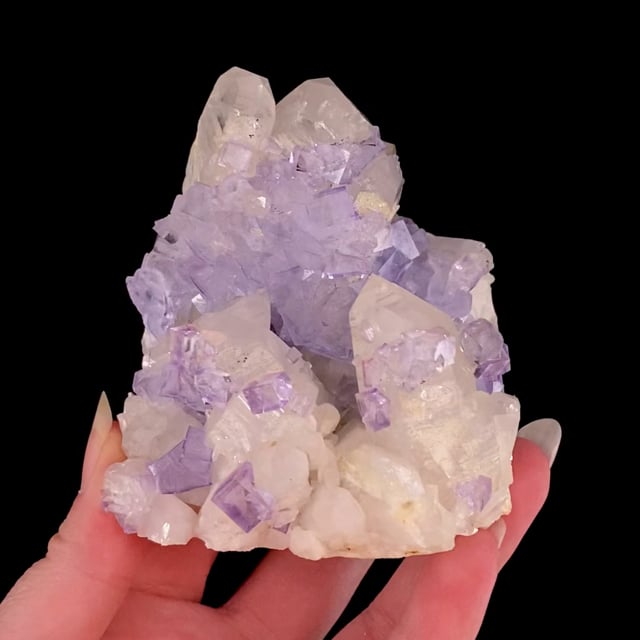 Fluorite (GEMMY crystals) on Quartz