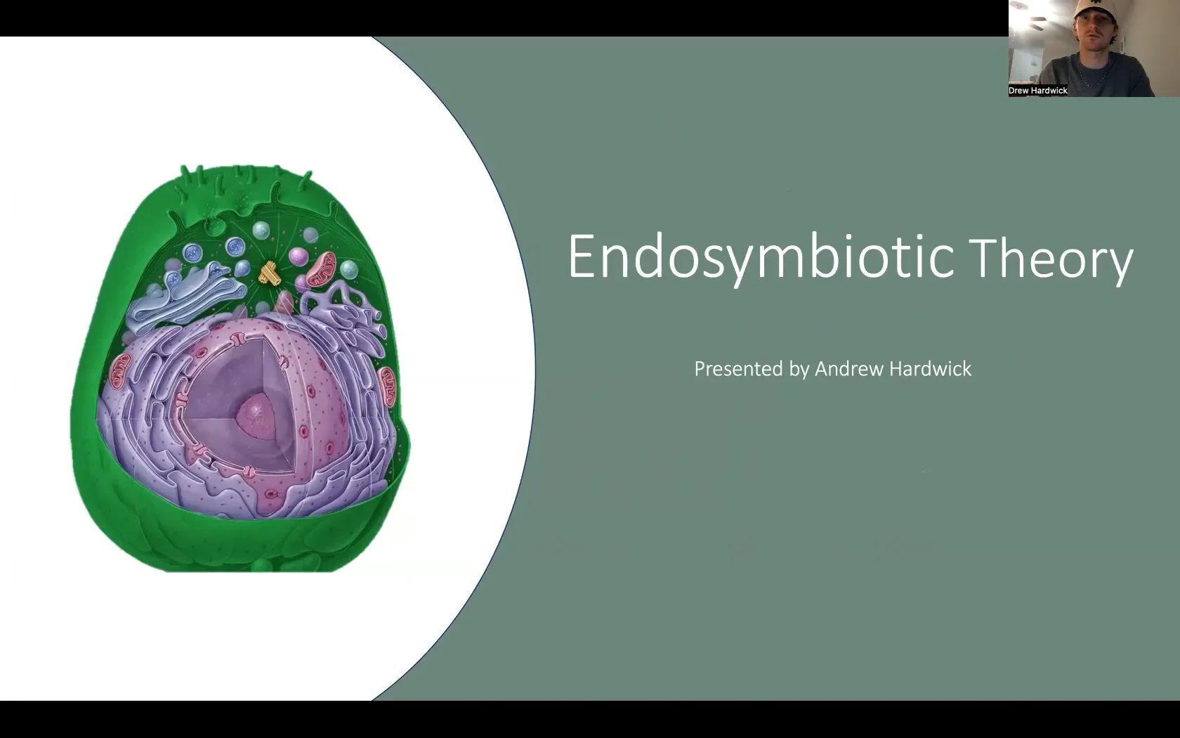 Andrew Hardwick - Presentation 4 on Vimeo