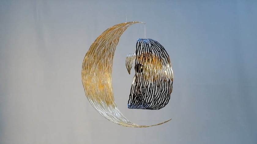 vimeo-video-thumbnail