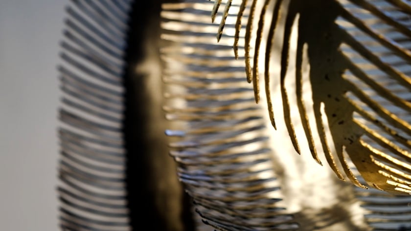 vimeo-video-thumbnail