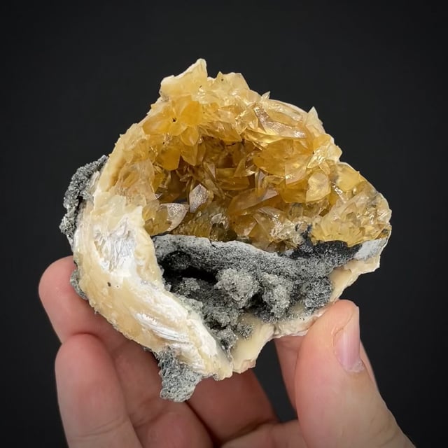 Calcite in Clam Shell