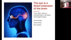  Optic Nerve Reset