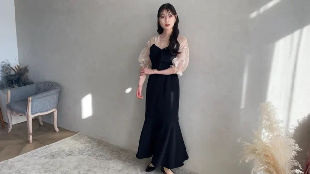 sheer puff dress | Acka.｜ エーシーケーエー｜公式オンラインストア