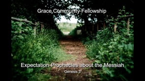 Expectation: Prophecies about the Messiah - The 2nd Adam