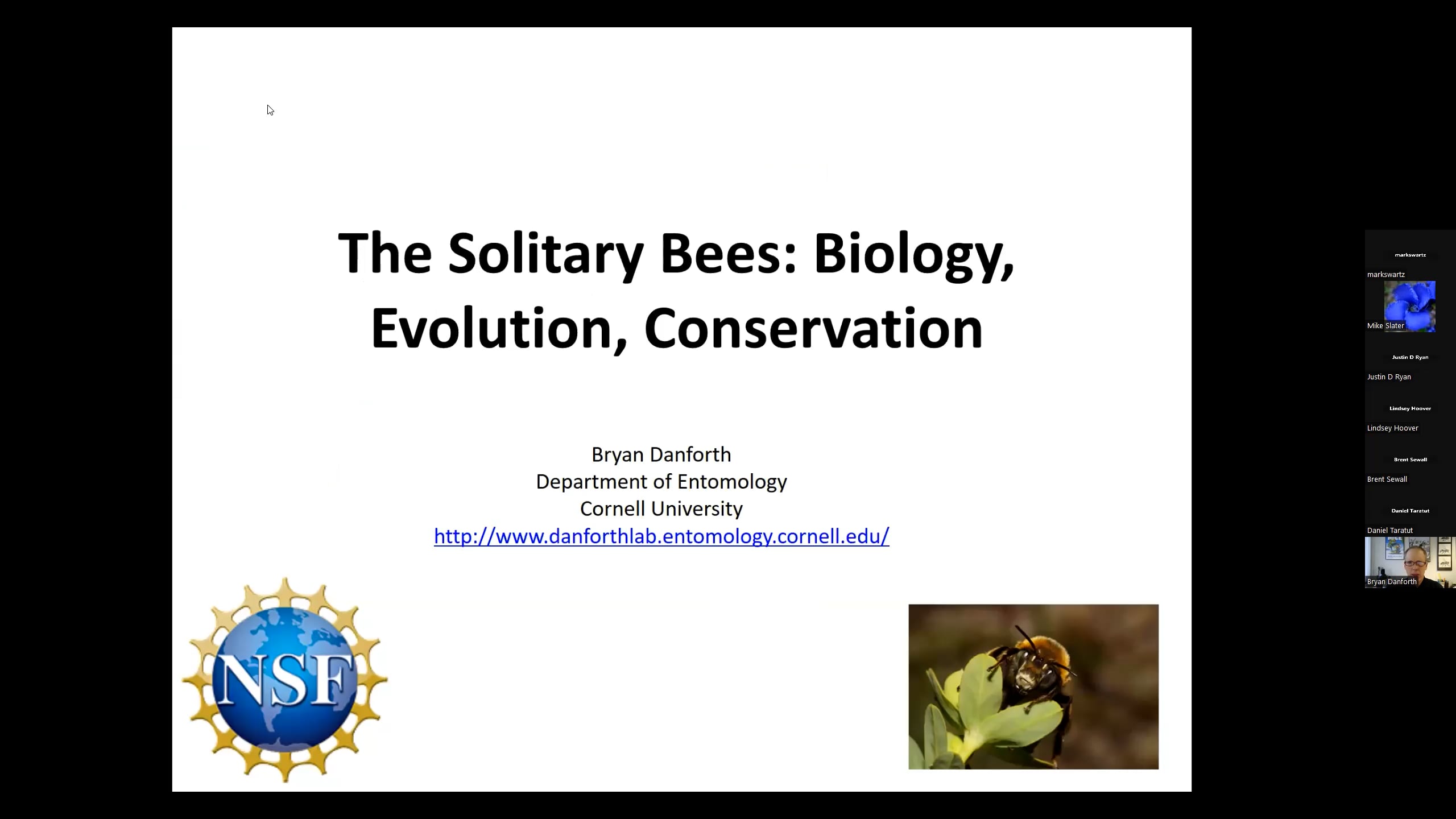 Dr. Bryan Danforth - Solitary Bees: Biology, Evolution, Conservation On ...