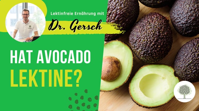 Hat Avocado Lektine?